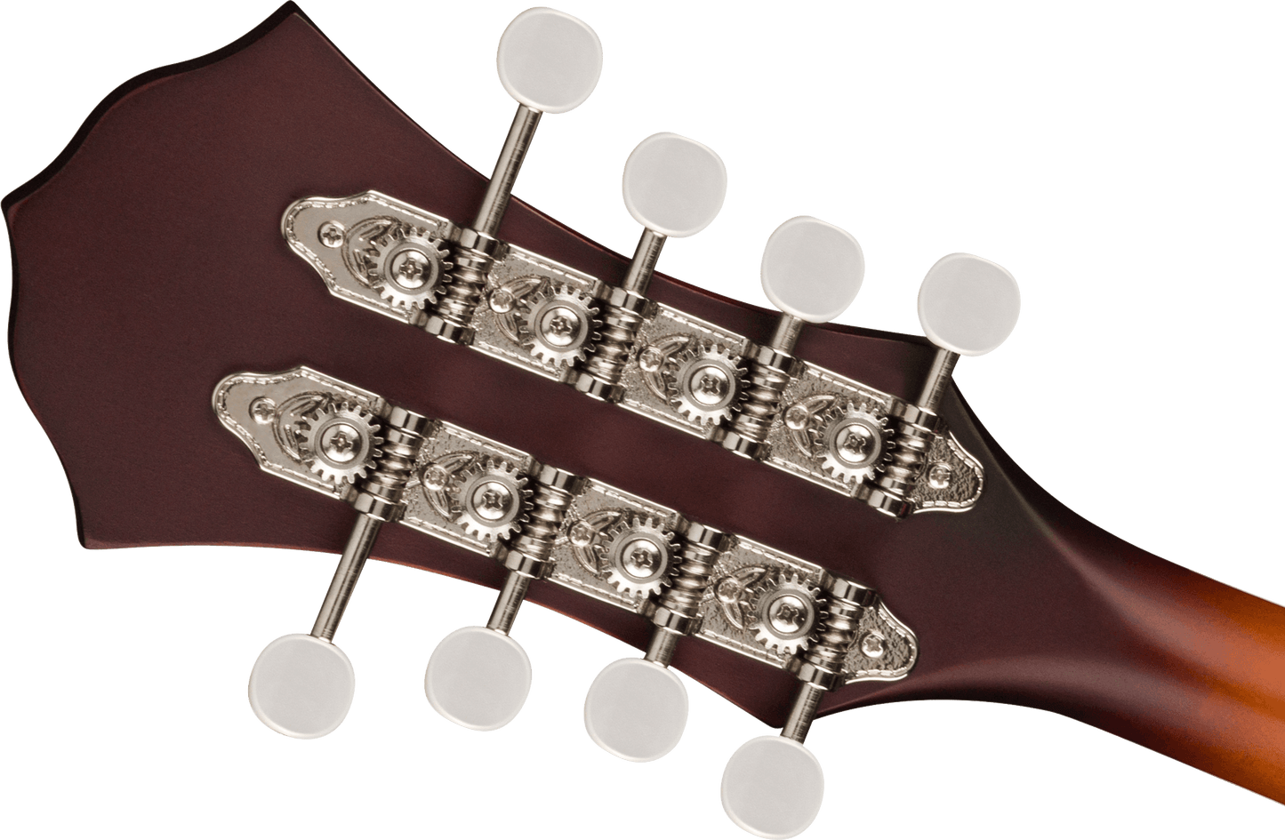 PM-180E Mandolin