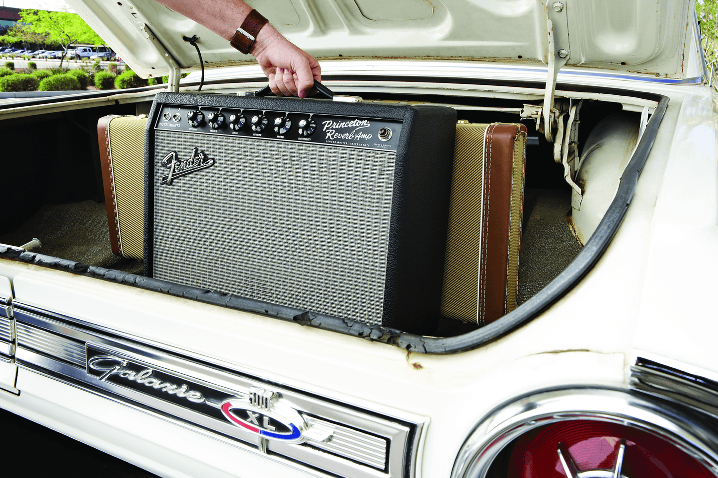 '65 Princeton® Reverb